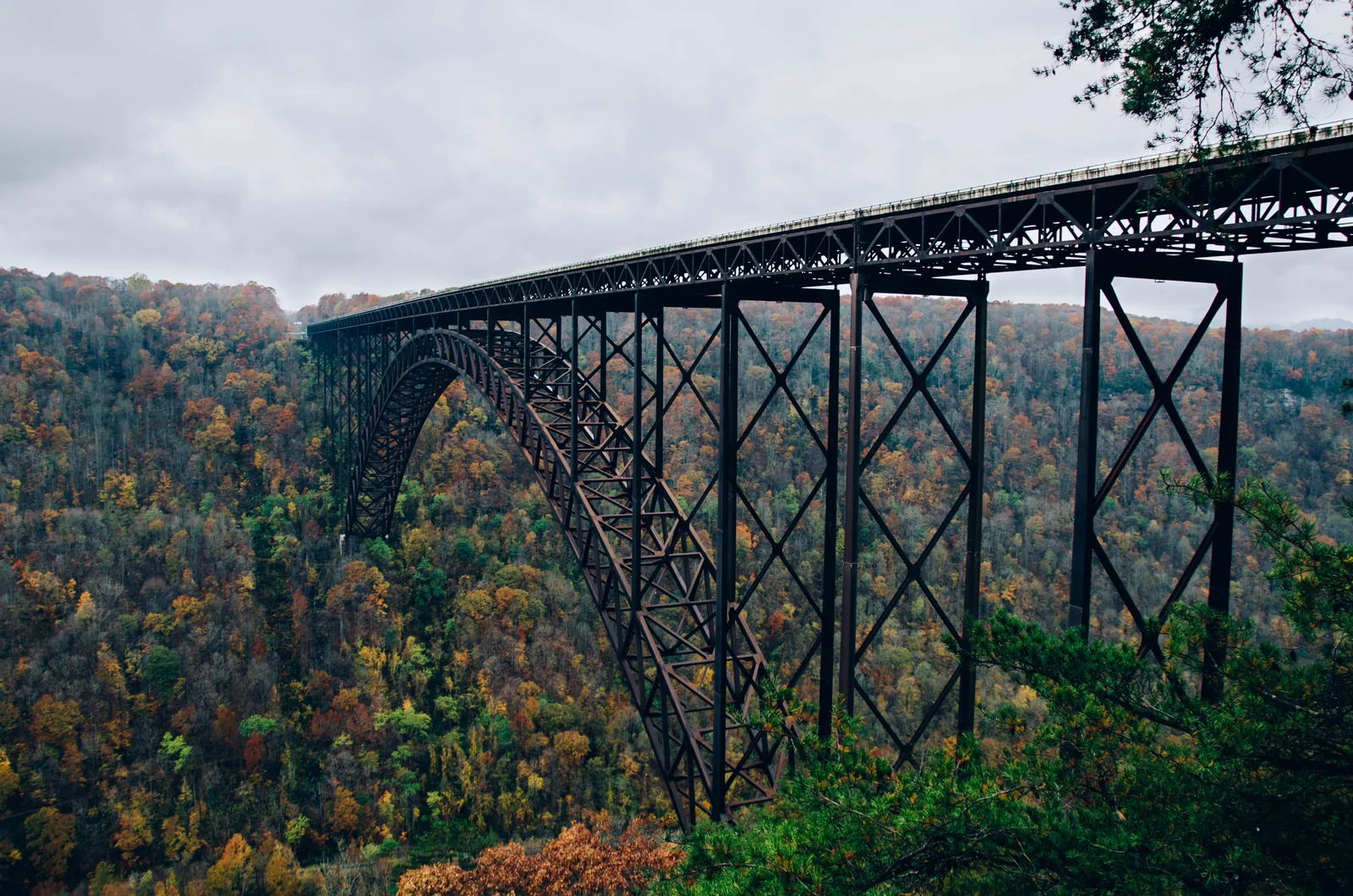 Steel bridge structure spanning a wooded ravine