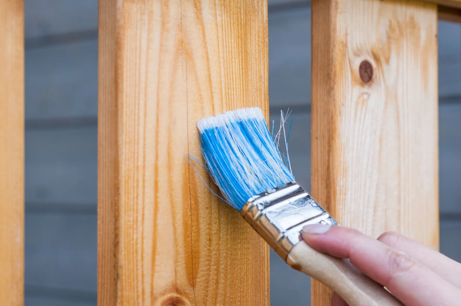 Brush applying a protective finish to clean wood fence boards